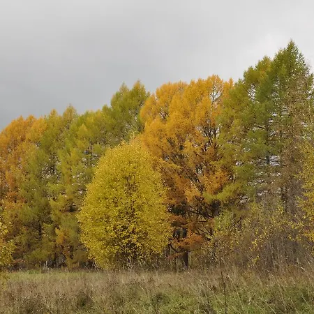 Yellow House Летний дом *